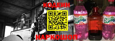 индика Новодвинск