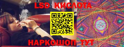 индика Новодвинск
