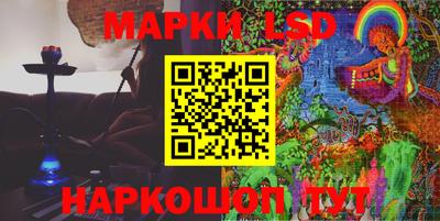 индика Новодвинск