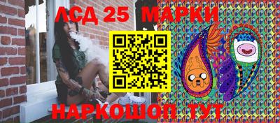 индика Новодвинск
