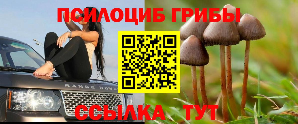 Серпухов  Галлюциногенные грибы GOLDEN TEACHER  Вход с VPN 